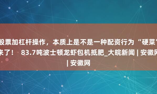 股票加杠杆操作，本质上是不是一种配资行为 “硬菜”来了！  83.7吨波士顿龙虾包机抵肥_大皖新闻 | 安徽网