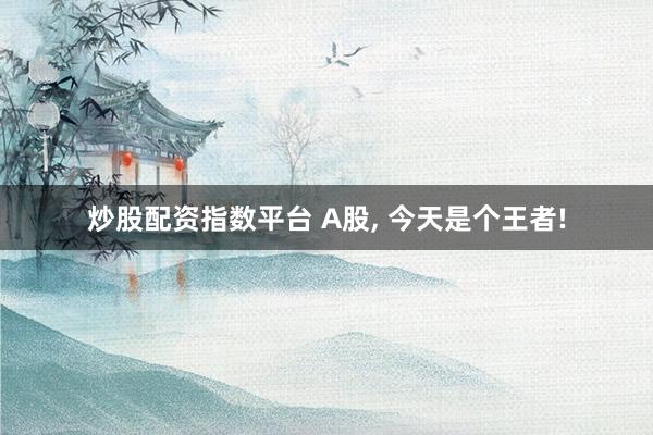 炒股配资指数平台 A股, 今天是个王者!