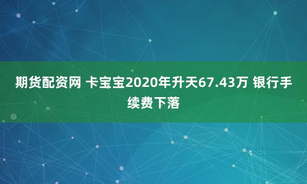 期货配资网 卡宝宝2020年升天67.43万 银行手续费下落