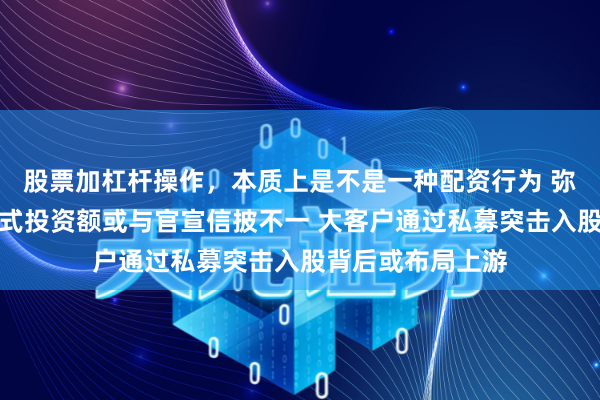 股票加杠杆操作，本质上是不是一种配资行为 弥富科技：募投方式投资额或与官宣信披不一 大客户通过私募突击入股背后或布局上游